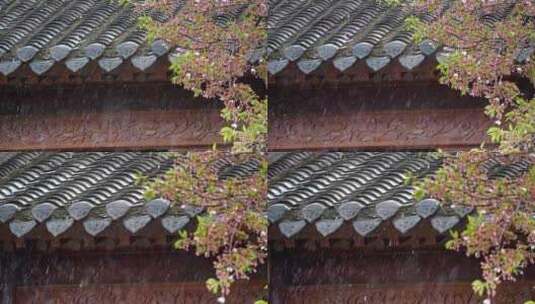 春雨 谷雨 清明 惊蛰 下雨空镜高清在线视频素材下载