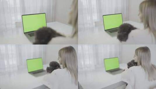 操作电脑的女学生高清在线视频素材下载