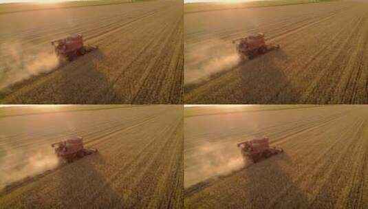 航拍收割机在麦田中收割小麦秋收2_4K高清在线视频素材下载