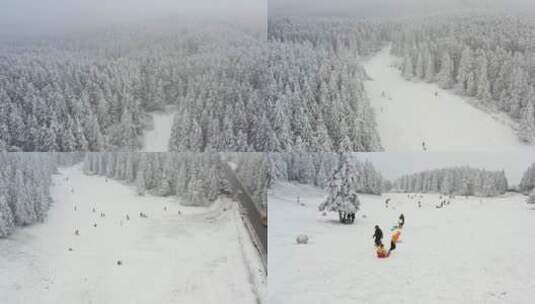 仙女山景区冬季滑雪场游客滑雪航拍高清在线视频素材下载