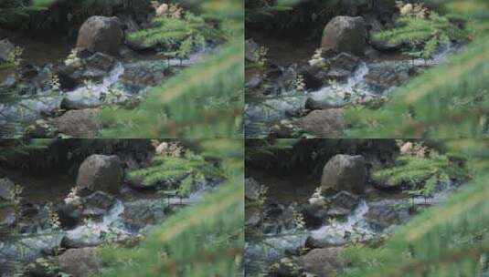 流淌的河水高清在线视频素材下载