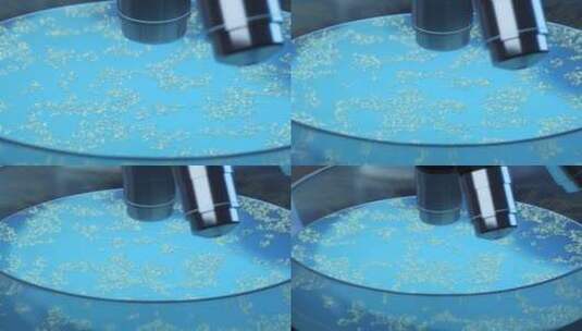 培养皿内的细菌 3D渲染高清在线视频素材下载