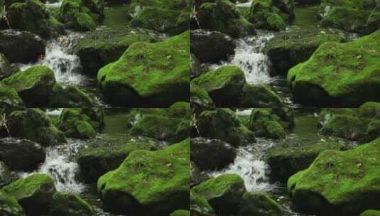 绿石青苔小溪流水高清在线视频素材下载