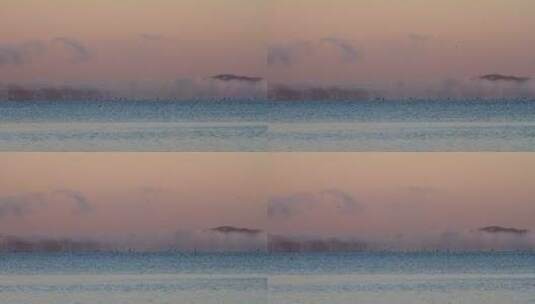 内蒙古达里诺尔湖晨雾缥缈，水鸟飞翔高清在线视频素材下载