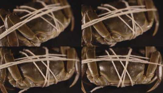 螃蟹大闸蟹河蟹高清在线视频素材下载