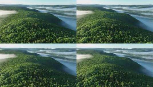 航拍绿色山林云雾高清在线视频素材下载