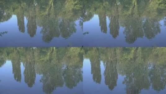 树木在湖面的倒影特写高清在线视频素材下载
