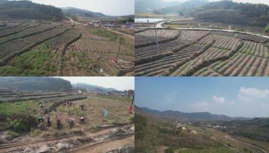 （多镜头）山区农业新农村建设高清在线视频素材下载