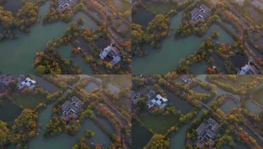 杭州西溪湿地公园秋色夕阳航拍高清在线视频素材下载