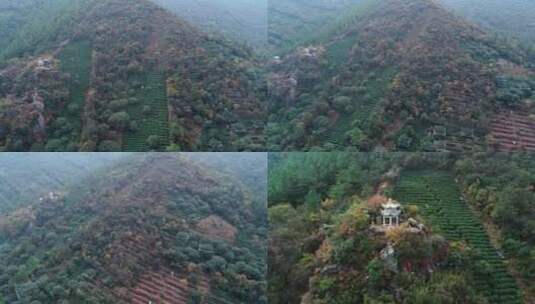 秋天秋叶秋景山林山枫叶唯美凉亭航拍高清在线视频素材下载