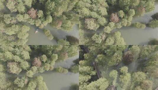 水上森林划船航拍高清在线视频素材下载