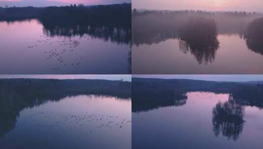 航拍唯美湖面飞鸟群高清在线视频素材下载