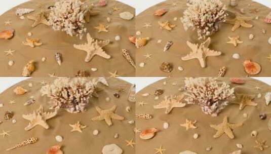 沙子上的贝壳高清在线视频素材下载