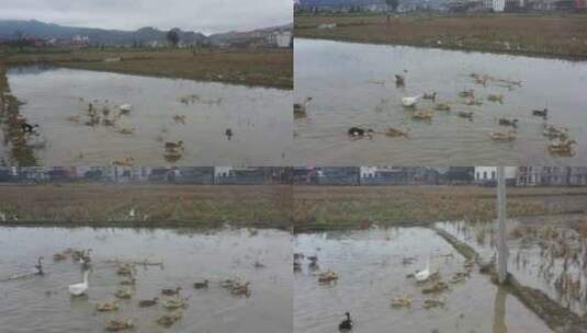 湖南娄底乡村城镇 航拍宣传片 大自然风景高清在线视频素材下载