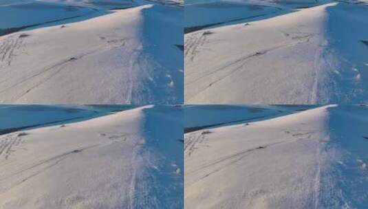 冬季雪原远方行走的马群高清在线视频素材下载
