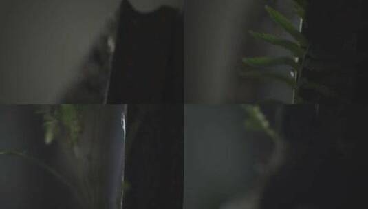 植物阳台蕨类窗帘瓶子根茎杯子高清在线视频素材下载