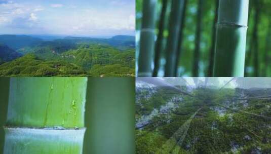 竹海 竹林竹子 风景 航拍素材实拍高清在线视频素材下载