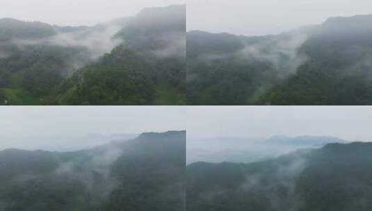 杭州西湖龙井茶园梅家坞云雾航拍高清在线视频素材下载