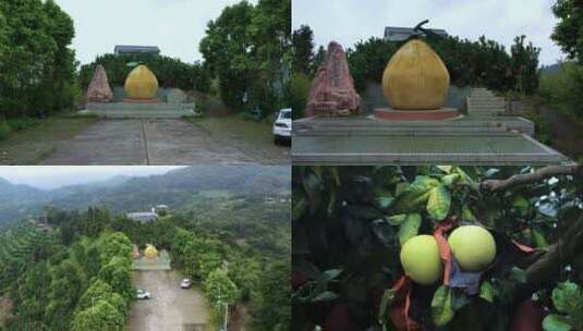 梅州大浦蜜柚公园高清在线视频素材下载