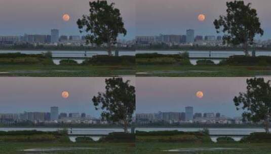 城市月亮升起高清在线视频素材下载