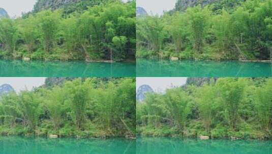 美丽江河畔竹子竹林自然风景高清在线视频素材下载