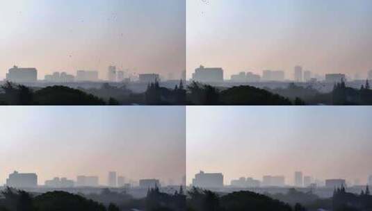 航拍苏州城市日出的晨雾风光高清在线视频素材下载