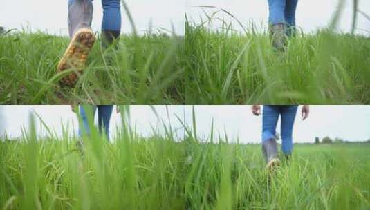 农民行走在稻田里高清在线视频素材下载