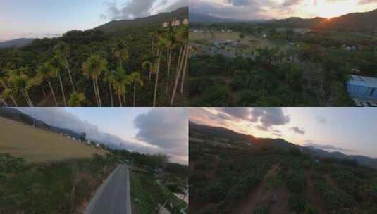 穿越机航拍4K海南热带雨林原始森林椰子树高清在线视频素材下载