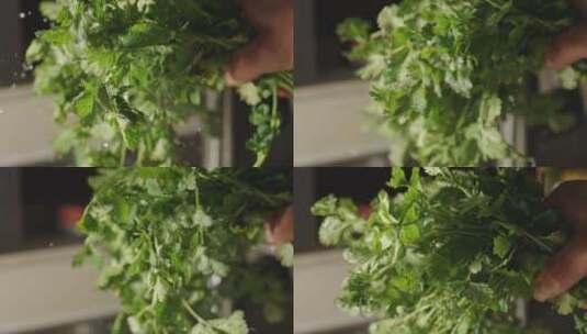用水冲洗香菜叶子洗菜高清在线视频素材下载