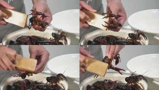 用刷子洗小龙虾高清在线视频素材下载