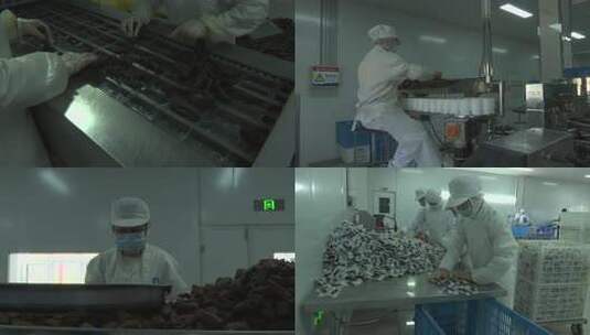 牛肉干风干牛肉生产包装车间高清在线视频素材下载