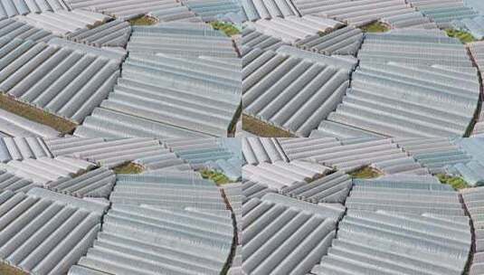 航拍农业大棚种植基地高清在线视频素材下载