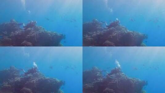 潜水员在海底暗礁处潜水高清在线视频素材下载
