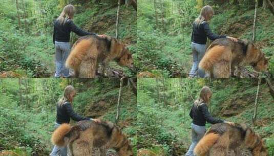 一个女孩和她的狗站在森林山上的一条小溪旁高清在线视频素材下载