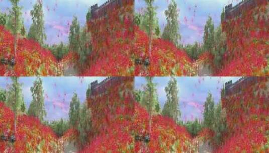 唯美红花 花瓣粒子飘落高清在线视频素材下载