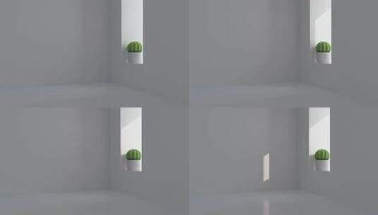 白色空房间与仙人球盆栽3D渲染高清在线视频素材下载