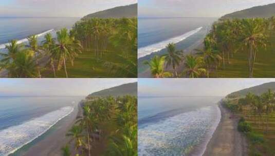 海滩上的棕榈树航拍景观高清在线视频素材下载
