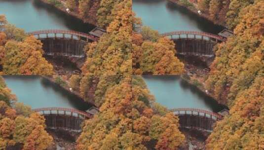 秋天美景航拍高清在线视频素材下载