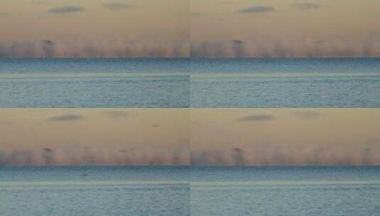 内蒙古达里诺尔湖晨雾缥缈，水鸟飞翔高清在线视频素材下载