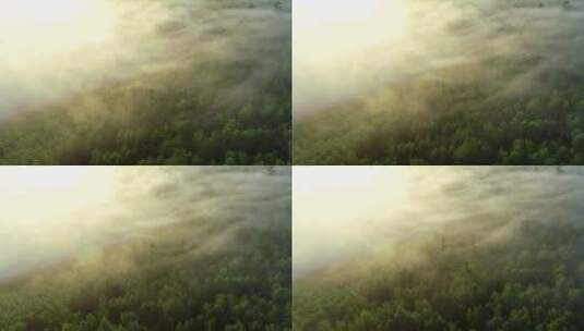 航拍阳光洒向云雾山林高清在线视频素材下载