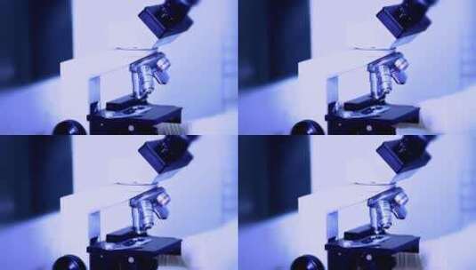 显微镜医学观察高清在线视频素材下载