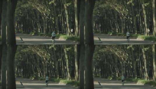 公园里的自行车手高清在线视频素材下载