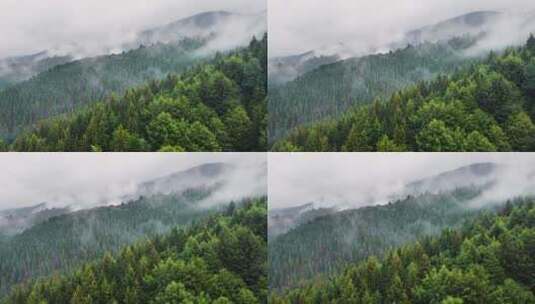 航拍雨天鸟瞰山林上空的云飞过神奇的夏日森林高清在线视频素材下载