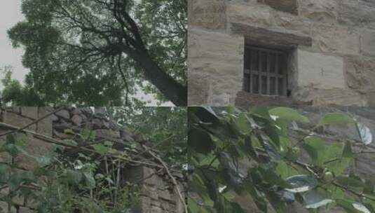 大树下的古建筑高清在线视频素材下载