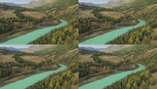 新疆喀纳斯河月亮湾秋天自然风光高清在线视频素材下载