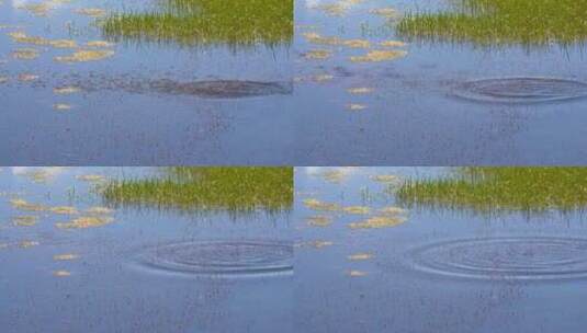 水面 涟漪 水面波纹 湖水空景 城市湿地公园高清在线视频素材下载