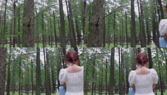 灌木丛中的小姐姐《水上森林》网红打卡地高清在线视频素材下载