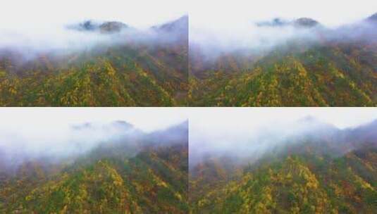 云气蒸腾素材航拍穿云，川西高原泸定秋天高清在线视频素材下载