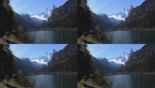 湖泊树木冰川景观高清在线视频素材下载
