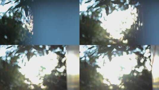 逆光树叶斑空镜头城市素材，阳光穿过树叶高清在线视频素材下载